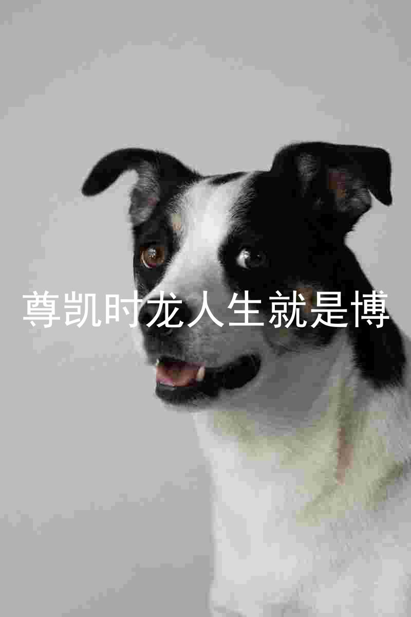 尊凯时龙人生就是博