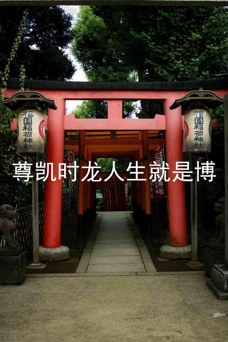 尊凯时龙人生就是博