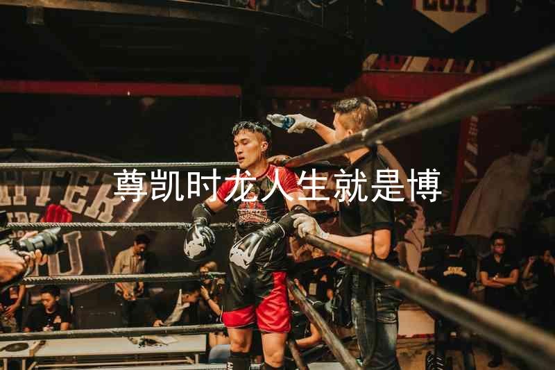 尊凯时龙人生就是博
