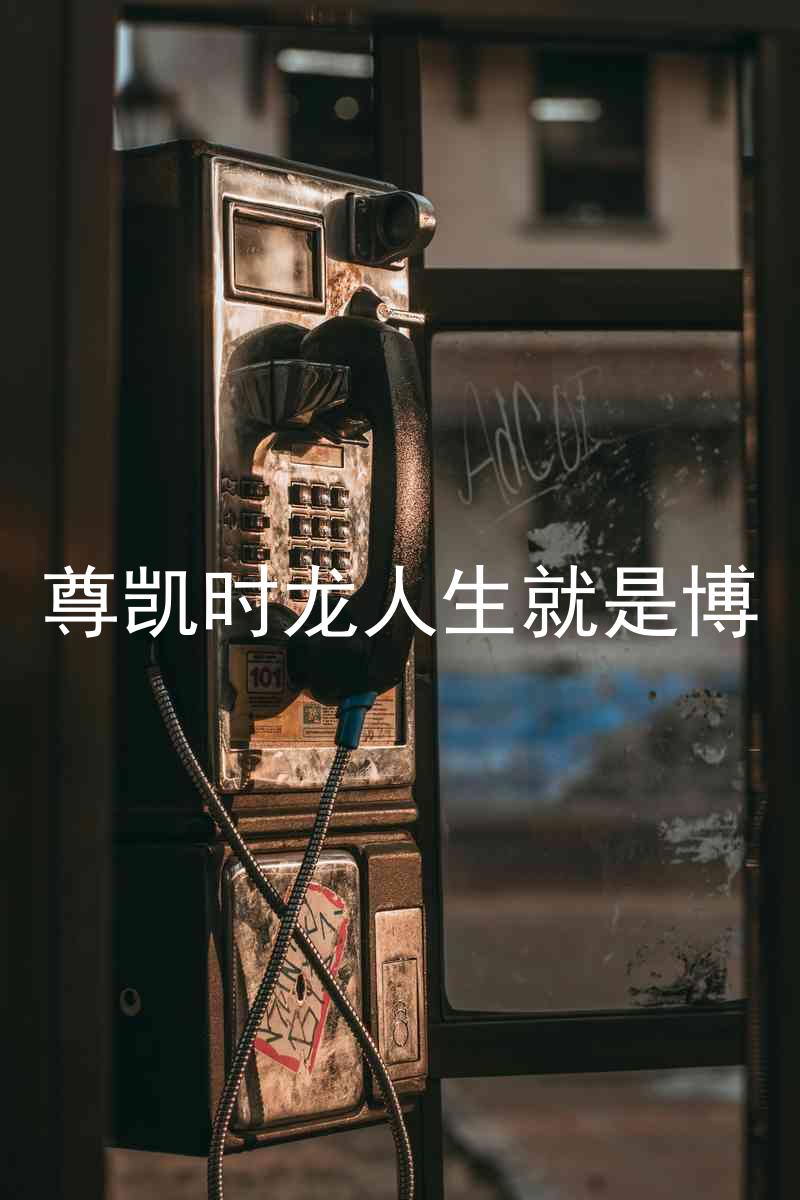 尊凯时龙人生就是博