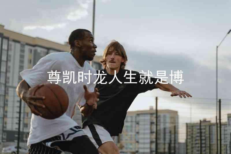 尊凯时龙人生就是博
