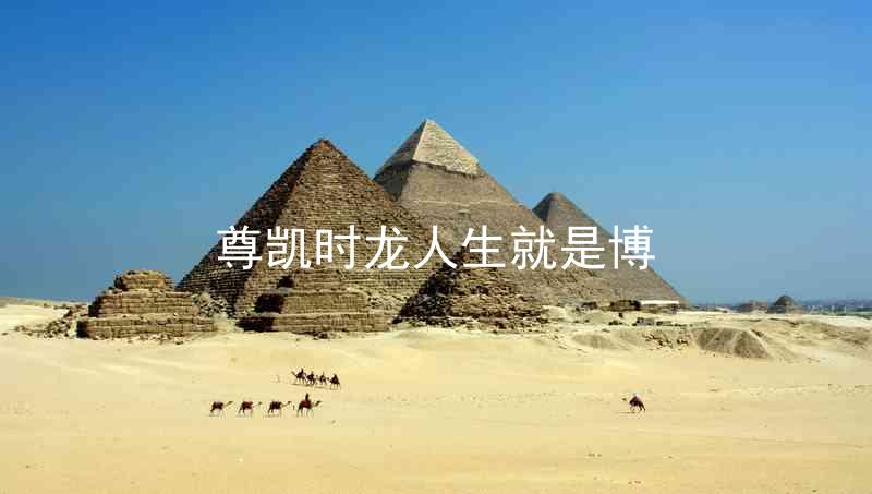 尊凯时龙人生就是博