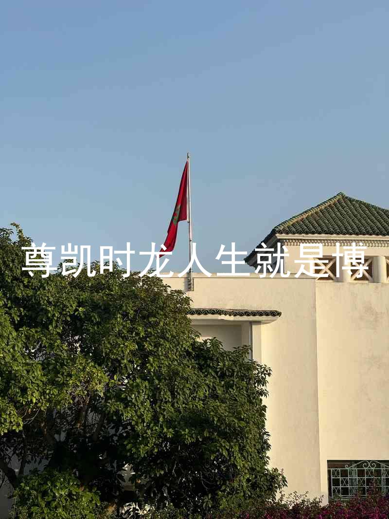 尊凯时龙人生就是博