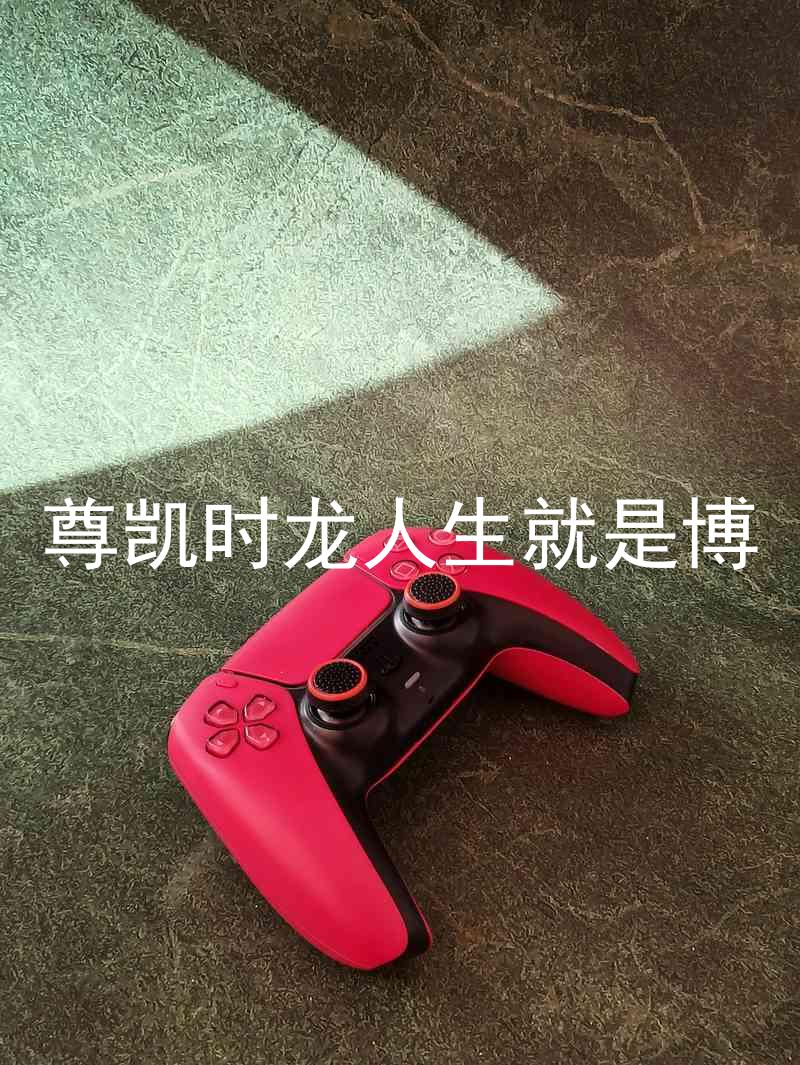 尊凯时龙人生就是博